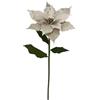 BIZZOTTO POINSETTIA ALYSSIA CHAMPAGNE H105