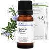 Aroma Labs Rosmarino Verbenone BIO (Rosmarinus officinalis CT verbenone) - 10 mL - Olio Essenziale Chemiotipizzato e Certificato AB - Benessere epatico - Aroma Labs - Made in France