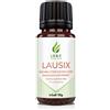 LS & C Nutrition | Lausix 1x10 g Sfere
