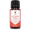 LS & C Nutrition | Gelenk Vital 1x10 g Sfere