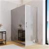 DEGHI Box doccia 140X100 cm lato fisso specchiato con battente e profilo cromo 200h - Artego Duo