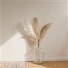 DEGHI Set 6 rami decorativi di pampa 67h cm naturale