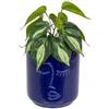 DEGHI Pianta artificiale 30h cm con vaso in ceramica blu