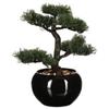DEGHI Pianta artificiale di bonsai 34h cm con vaso in ceramica nero