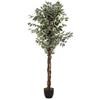 DEGHI Pianta artificiale di ficus 180h cm con vaso nero