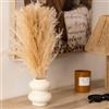 DEGHI Pampa naturale 44h cm in vaso di ceramica beige