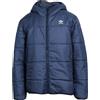 ADIDAS - Piumino - Blu navy