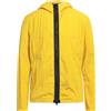 SAVE THE DUCK - Giubbotto - Giallo ocra