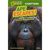 Aline Alexander Newma National Geographic Kids Chapters: Ape Escapes (Tascabile)