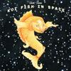 Jack Irons Koi Fish in Space (Vinyl LP) 12" Album