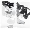 Aria Rostami & Daniel Blomquist Wandering Eye (CD) Album