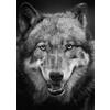 Ulmer Puzzleschmiede - Puzzle Lupo: puzzle 1000 pezzi - lupo grigio come ritratto animale