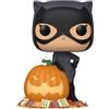 Funko Catwoman Funko DC Comics 2024 Q2 CATWOMAN (WITH PUMPKIN) DC SUPER HEROES Funko Funko