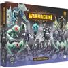 Steamforged Games, Warmachine the Board Game: Fane of Nyrro - The Gathering Dark