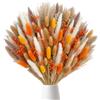 SJUNJIE 89 Pezzi Fiori Secchi Decorativi Pampas Decorative Bouquet | Erba di Pampa Essiccata Fiori Secchi di Coda di Coniglio Adatto per lo Stile Bohémien Decorazioni Casa