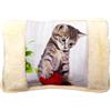 BullTek Borsa Acqua Calda Elettrica 26x19cm 500W - Scaldino Senza Fili Ricaricabile Rapido, con Tasche in Peluche per Mani, Sollievo Dolori e Freddo, Design Gatti Morbido e Sicuro (Gomitolo)