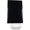 Samsung Galaxy Tab S10 Ultra wifi grigio 256 GB condizioni abbastanza buone
