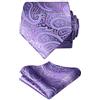 Alizeal Gradient Paisley Cravatta Floreale con Set Quadrato Tascabile