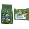 Affinity Ultima 7,5 kg / 10 kg Ultima Crocchette + 4 x 70 g / 8 x 85 g Umido per gatti gratis! - 10 kg Sterilized Senior Pollo + 4 x 70 g Expert Nutrition Senior Pollo & Manzo