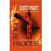 Phoenix Flying, Inc. Due Process