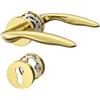 Amerdeco Maniglia per porta interna oro lucido con rosetta rotonda, set maniglia PZ con cilindro europeo, design moderno per porte d'ingresso e interne UK0099