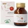 ALTA NATURA-INALME Srl Boswellia 60 compresse 1100mg terranata - ALTA NATURA - 978845612