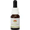 Australian Bush Flower Essences Southern Cross 15ml stock Australian Bush Flower Essences Ian White
