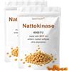 BASTOUR Nattokinase, 4000 FU Per Capsula, con Olio Mct E Bromelina,240 Conteggi,2PC | Supporta la Normale Circolazione, Migliora i Livelli di Energia e Vitalità, Vegano Non OGM, Senza Additivi Inutili
