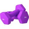 DecHome - Set 2 Manubri 2x2 kg Esagonali e Antiscivolo per Casa e Palestra in Metallo e Plastica 16x7.5x7.5 cm colore Viola - VTA767F