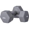DecHome - Set 2 Manubri Esagonali da 2x10 kg in Metallo e Plastica con Impugnatura Antiscivolo 26x12x12 cm colore Grigio - GYA775F