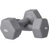 DecHome - Set 2 Manubri Esagonali da 9 kg in Metallo e Plastica con Impugnatura Antiscivolo 25x11x11 cm colore Grigio - GYA781F