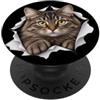 4CatLovers Divertente Gatto Sbirciando Carino Mamma Papà PopSockets PopGrip Adesivo