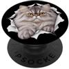 4PersianCatLovers Divertente gatto persiano che sbircia carino mamma papà PopSockets PopGrip Adesivo