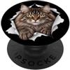 4MaineCoonCatLovers Divertente Maine Coon Gatto Sbirciando Carino Mamma Papà PopSockets PopGrip Adesivo