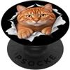 4OrangeCatLovers Divertente gatto arancione che sbircia carino mamma papà PopSockets PopGrip Adesivo
