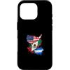Honduras Usa Mexico Design Custodia per iPhone 16 Pro Honduras Usa Messico Bandiera