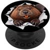 4BeaverLovers Divertente castoro che sbircia carino zoo amante degli animali PopSockets PopGrip Adesivo