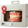NODVIX Set Faccette Dentali Temporanee per Uso Cosmetico | Set cosmetico temporaneo per modificare visivamente il sorriso in foto o eventi, con adattamento da verificare prima