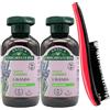 FEI FAN SET: 2x Shampoo Per Capelli, Disponibile In Diverse Varietà 250ml + Spazzola Per Capelli, Con Manico Ergonomico (Colori Assortiti) (LAVANDA)