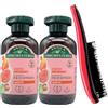 FEI FAN SET: 2x Shampoo Per Capelli, Disponibile In Diverse Varietà 250ml + Spazzola Per Capelli, Con Manico Ergonomico (Colori Assortiti) (FICO D'INDIA)