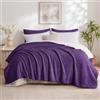 Aisbo Plaid Coperta Pile Matrimoniale - Coperta Calda Invernale per Divano e Grande Letto Matrimoniale 220x240 cm Pile di Flanella e Sherpa Morbida Viola, Sherpa Blanket for Sofa and Couch