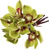 AZIDWERYQ 6 pezzi di orchidea Cymbidium da 10 pollici realistica di colore verde con stelo lungo fiori di seta decorativi fai da te per composizioni, matrimoni, feste artificiali