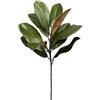 Generic Set di 2 rami di magnolia artificiali con foglie realistiche per decorazione, piante artificiali verdi per vaso da tavolo, per interni ed esterni (verde, 56 cm)