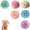 LERANXIN 24 Pezzi Pompon di Carta, 8/10 Inch Fiori di Carta | Disponibile in Vari Colori, Pom-Pom Di Carta Velina, Fiori di Carta Pon-Pon, per Festa Compleanno, Decorazioni Compleanno