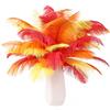 ASKFNASDKMFN Piume di struzzo rosse, arancioni, gialle, 12 pezzi, 20-25 cm, per artigianato, feste di nozze, centrotavola, Halloween e decorazioni per la casa