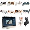 Generico Mini monitor computer 10 pezzi gatto | Figurine gattini resina Decorazione per monitor | Decorazione cruscotto auto gatti adorabili | Ornamenti realistici schermo controllo centrale figura gattini