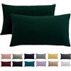 Beqnat Federe per cuscino 40 x 80 2 pezzi - Fodera per cuscino 40x80 verde per cuscini 100% microfibra Fodera per cuscino senza stirare e antirughe con cerniera