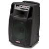 AUDIODESIGN PRO M2 12W/L cassa portatile, diffusore portatile con woofer da 320 mm e 2 microfoni wireless