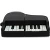 ELLENNE CHIAVETTA USB PIANOFORTE TASTIERA PIANO MUSICA PENDRIVE 16GB A20 | MEMORIA USB 2.0 CON DESIGN PIANOFORTE A CODA, PIANO, TASTIERA, PASSIONE MUSICA, TAGLI DA 16G 32GB 64GB A SCELTA