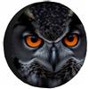 Generic Coperchio Ruota Di Scorta Owl Evil Eyes Animal Fear Face Raptor 15 inch | impermeabile borsa per pneumatici Universale copriruota borsa Per fuoristrada SUV Camion